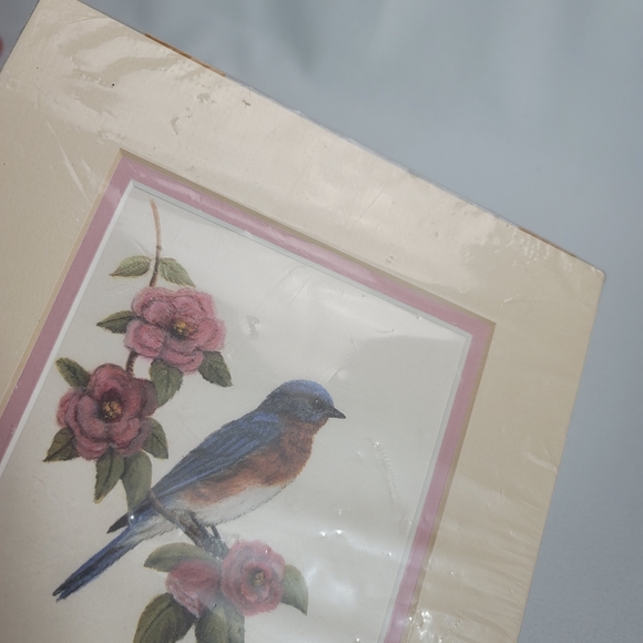 Nancy Zittrain Bluebird With Flowers Print With Mat SIGNED NUMBERED - Picture 14 of 16